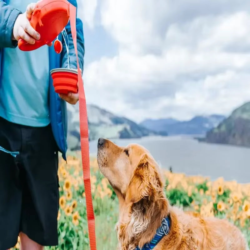 Detachable Kettle Pet Leash Multifunctional Retractable Water Storage Dog Leash 4 and 1 Adjustable Pet outside Leash